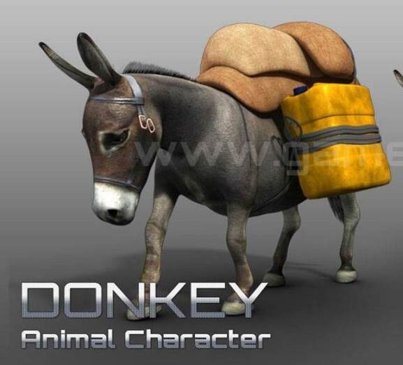 Donkey Animal Character Animation