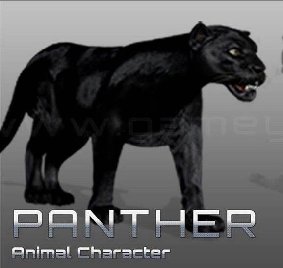 Panther Animal Character Animation